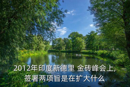 金磚國家開發(fā)銀行已舉行首次臨時董事會