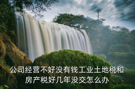  公司經(jīng)營(yíng)不好沒(méi)有錢(qián)工業(yè)土地稅和 房產(chǎn)稅好幾年沒(méi)交怎么辦