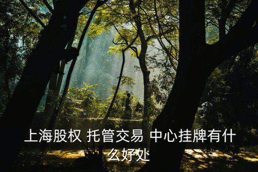 上海股票托管中心,上海小學(xué)托管中心