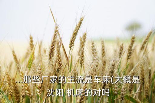 沈陽機(jī)床上海研發(fā)中心