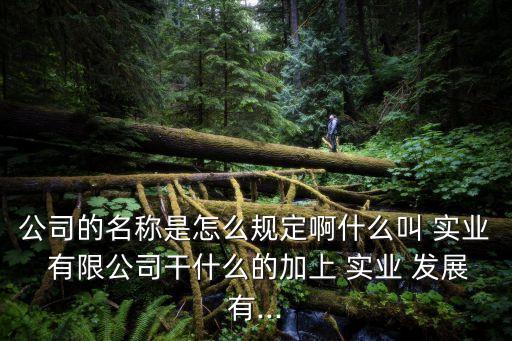 公司的名稱是怎么規(guī)定啊什么叫 實業(yè) 有限公司干什么的加上 實業(yè) 發(fā)展有...