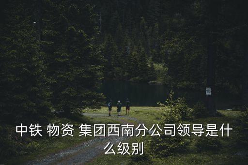 中鐵 物資 集團西南分公司領(lǐng)導(dǎo)是什么級別