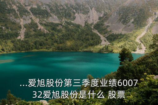 ...愛(ài)旭股份第三季度業(yè)績(jī)600732愛(ài)旭股份是什么 股票