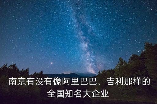  南京有沒(méi)有像阿里巴巴、吉利那樣的全國(guó)知名大企業(yè)