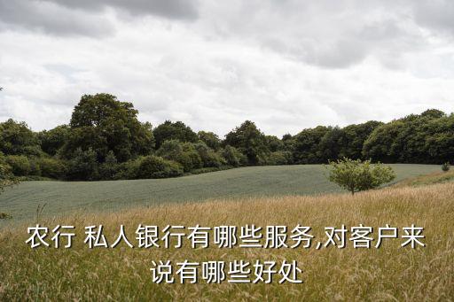 農(nóng)行 私人銀行有哪些服務,對客戶來說有哪些好處