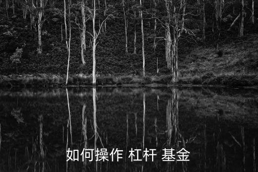 如何操作 杠桿 基金