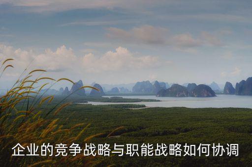 企業(yè)的競爭戰(zhàn)略與職能戰(zhàn)略如何協(xié)調(diào)