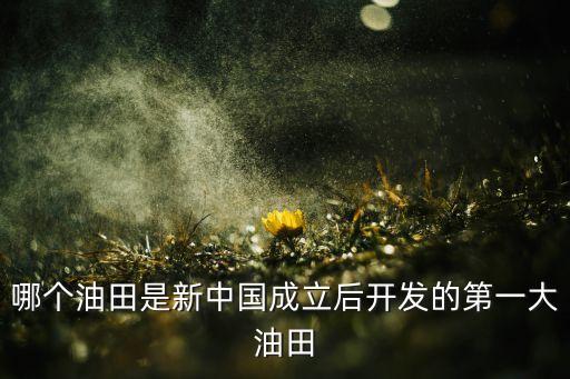 哪個(gè)油田是新中國(guó)成立后開(kāi)發(fā)的第一大油田
