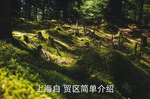上海自 貿(mào)區(qū)簡(jiǎn)單介紹