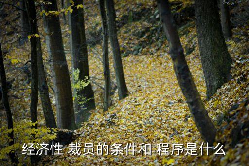 公司裁員的程序,裁員的合法程序