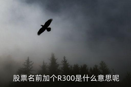  股票名前加個(gè)R300是什么意思呢
