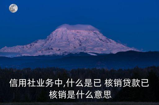 擔(dān)保公司核銷