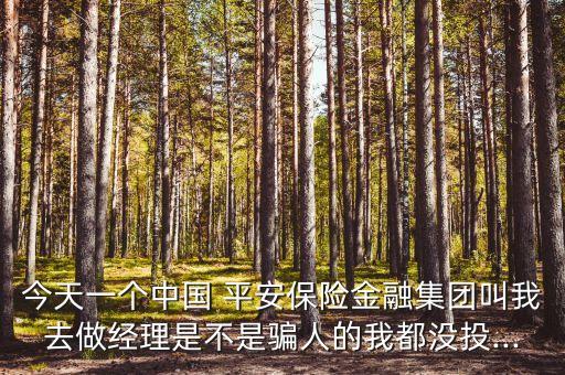 中國平安經(jīng)理人