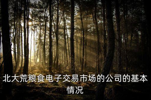 北大荒糧食電子交易市場(chǎng)的公司的基本情況