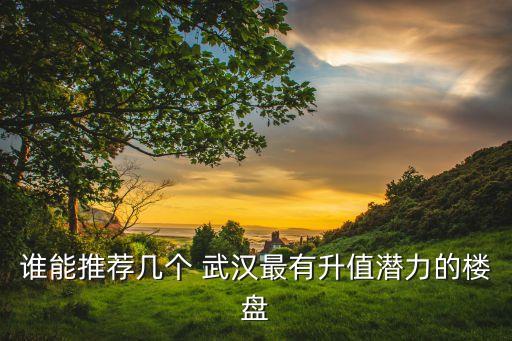 誰(shuí)能推薦幾個(gè) 武漢最有升值潛力的樓盤