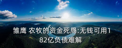  雛鷹 農(nóng)牧的資金死局:無(wú)錢可用182億負(fù)債難解