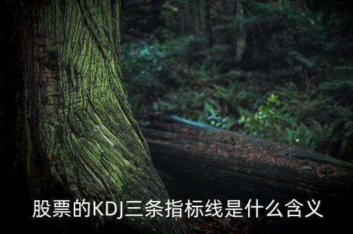 股票kdj什么意思,股票里的KDJ代表什么