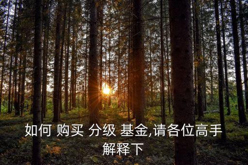 怎樣購買分級基金,Res基金怎樣購買