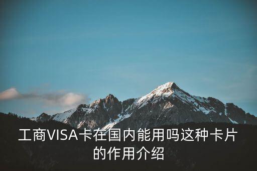 工商VISA卡在國內能用嗎這種卡片的作用介紹