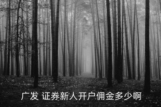  廣發(fā) 證券新人開戶傭金多少啊