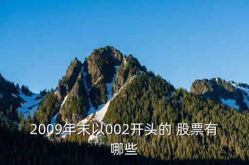 2009年末以002開頭的 股票有哪些