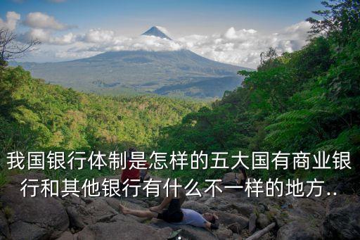我國(guó)銀行體制是怎樣的五大國(guó)有商業(yè)銀行和其他銀行有什么不一樣的地方...