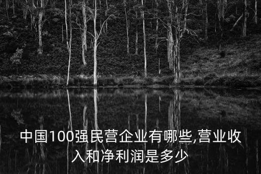 中國100強(qiáng)民營企業(yè)有哪些,營業(yè)收入和凈利潤是多少