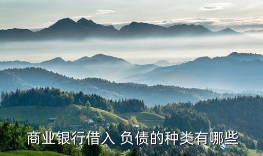  商業(yè)銀行借入 負(fù)債的種類(lèi)有哪些