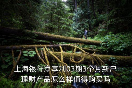  上海銀行凈享利03期3個(gè)月新戶 理財(cái)產(chǎn)品怎么樣值得購(gòu)買嗎