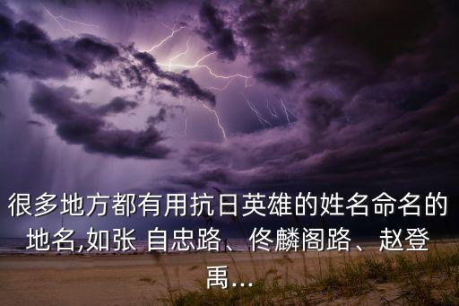很多地方都有用抗日英雄的姓名命名的地名,如張 自忠路、佟麟閣路、趙登禹...