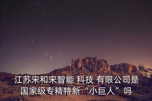  江蘇宋和宋智能 科技 有限公司是國家級(jí)專精特新“小巨人”嗎