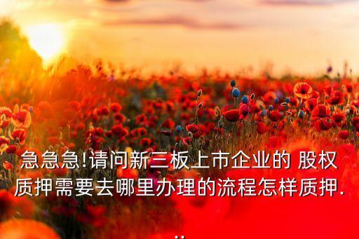 急急急!請(qǐng)問(wèn)新三板上市企業(yè)的 股權(quán)質(zhì)押需要去哪里辦理的流程怎樣質(zhì)押...