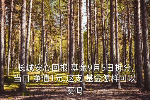  長城安心回報 基金9月5日拆分,當日 凈值1元.這支 基金怎樣可以買嗎