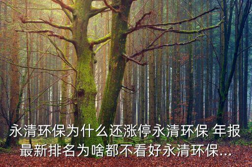 永清環(huán)保為什么還漲停永清環(huán)保 年報(bào)最新排名為啥都不看好永清環(huán)保...