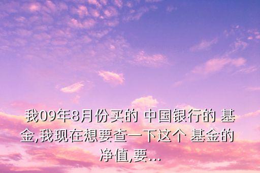 我09年8月份買(mǎi)的 中國(guó)銀行的 基金,我現(xiàn)在想要查一下這個(gè) 基金的 凈值,要...