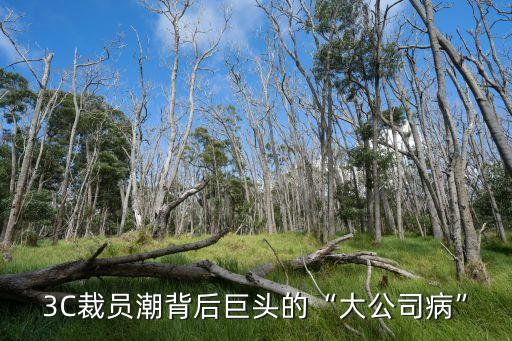 中國(guó)裁500到600萬國(guó)企員工