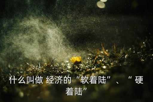什么叫做 經(jīng)濟(jì)的“軟著陸”、“ 硬著陸”