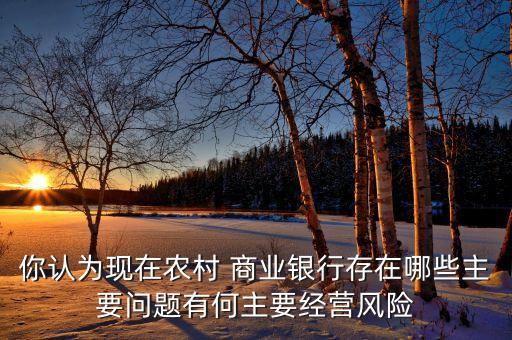 你認(rèn)為現(xiàn)在農(nóng)村 商業(yè)銀行存在哪些主要問題有何主要經(jīng)營風(fēng)險