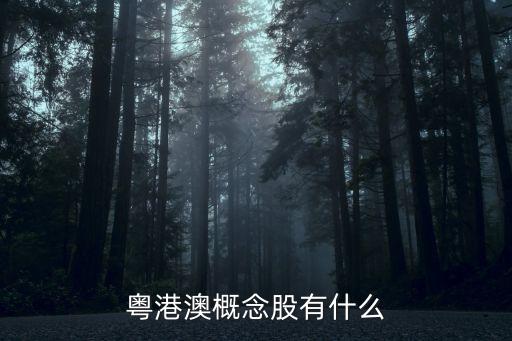 粵港澳概念股有什么