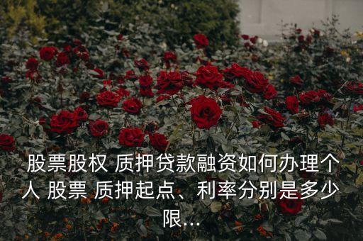  股票股權 質押貸款融資如何辦理個人 股票 質押起點、利率分別是多少限...