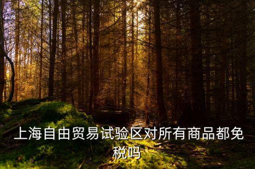 上海自貿(mào)區(qū)進(jìn)口稅收政策,橫琴自貿(mào)區(qū)進(jìn)口稅收政策