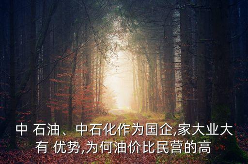 中 石油、中石化作為國企,家大業(yè)大有 優(yōu)勢,為何油價比民營的高