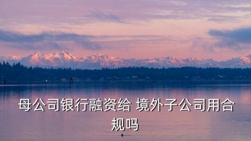 向境外母公司借款,境外母公司借款給國內子公司如何備案登記