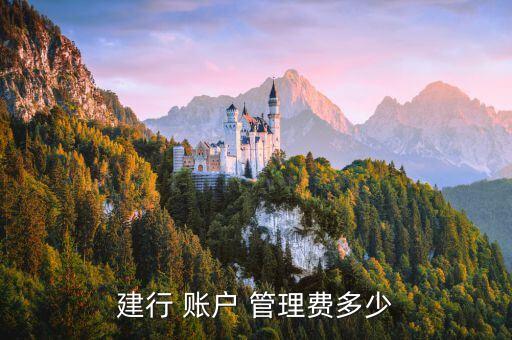 建設(shè)銀行的賬戶管理費(fèi)是什么