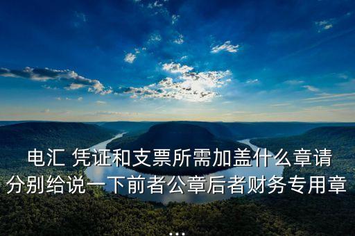  電匯 憑證和支票所需加蓋什么章請分別給說一下前者公章后者財(cái)務(wù)專用章...