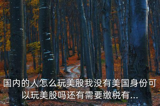 中國人怎樣在美國開股票賬號