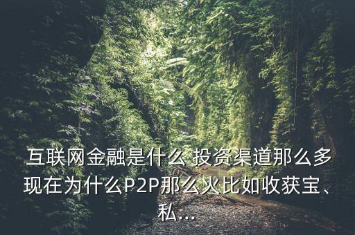  互聯(lián)網(wǎng)金融是什么 投資渠道那么多現(xiàn)在為什么P2P那么火比如收獲寶、私...
