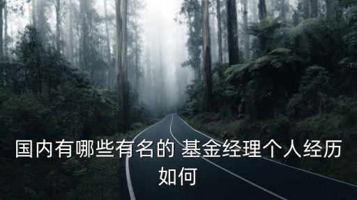 國內有哪些有名的 基金經理個人經歷如何