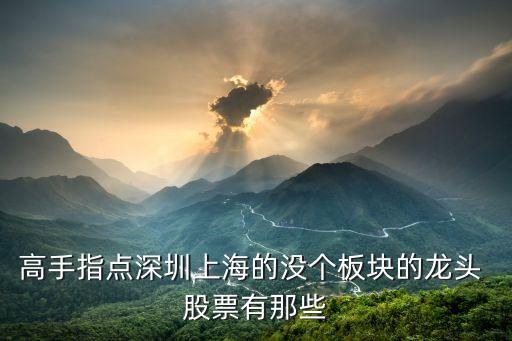 高手指點(diǎn)深圳上海的沒個板塊的龍頭 股票有那些
