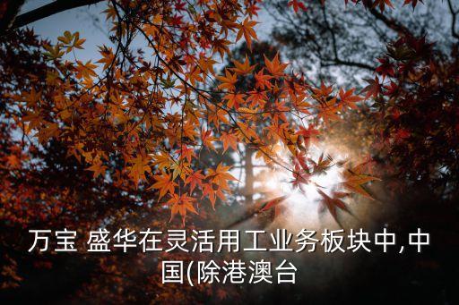 萬寶 盛華在靈活用工業(yè)務(wù)板塊中,中國(除港澳臺